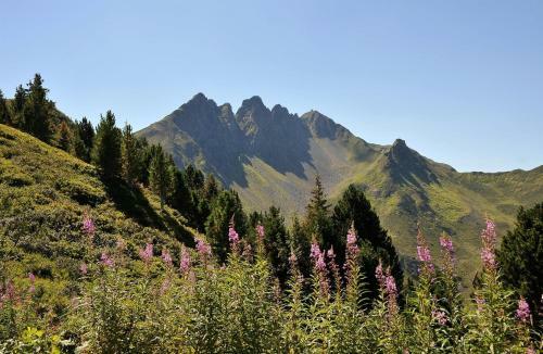 Apartamento Lodge Sch�nfeld