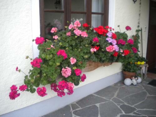 Apartamento Auerhiasbauer