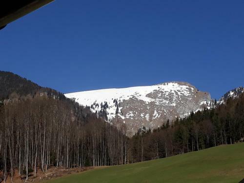 Apartamento Auerhiasbauer