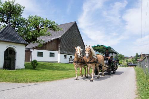 Bed & Breakfast Hauslhof