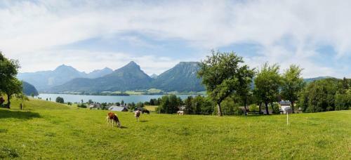 Bed & Breakfast Hauslhof