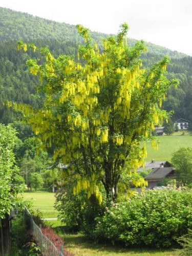 Apartamento Appartement Scheibling