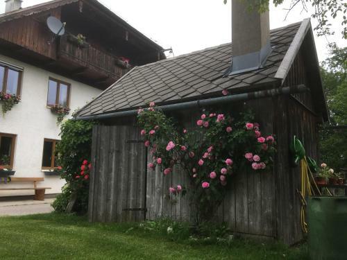 Apartamento Strauss Appartements