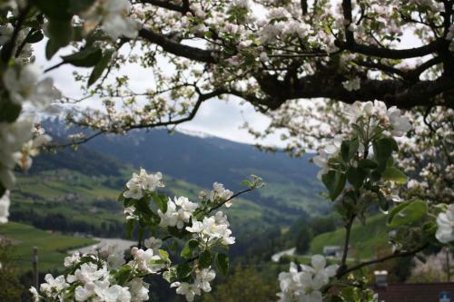 Apartamento Stolznhof