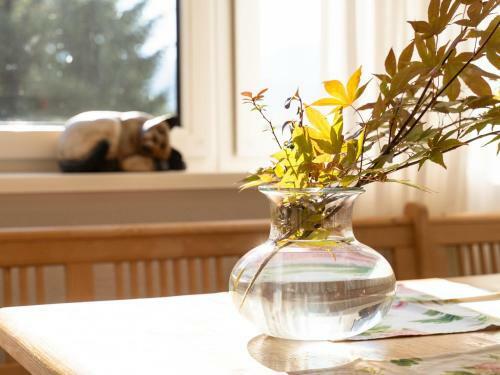Apartamento Landhaus Leitzinger Og1