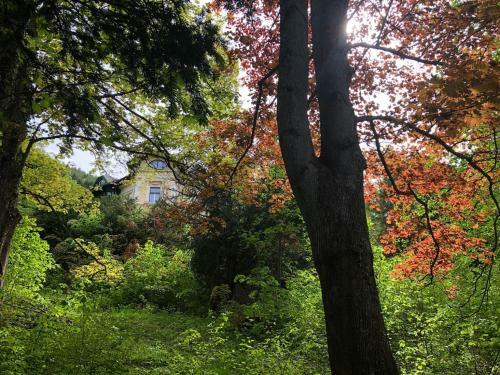 Apartamento Villa Petterhof