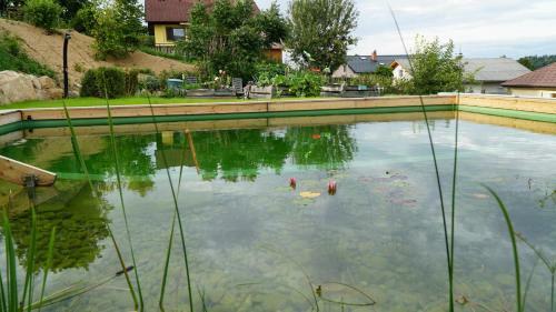 Apartamento Urlaub Am Ruthnerberg