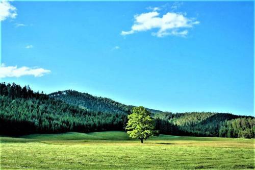 H�blinghof