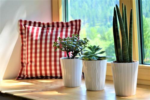 H�blinghof