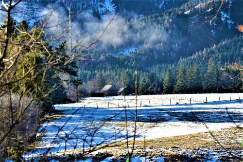 H�blinghof