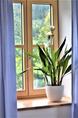 H�blinghof