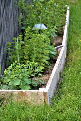H�blinghof