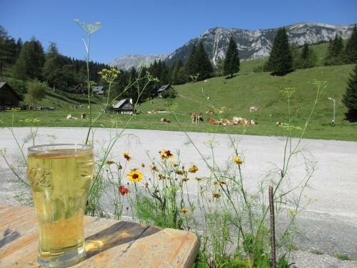 Posada Almgasthaus Seebergalm