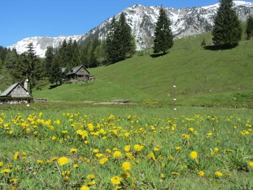 Posada Almgasthaus Seebergalm