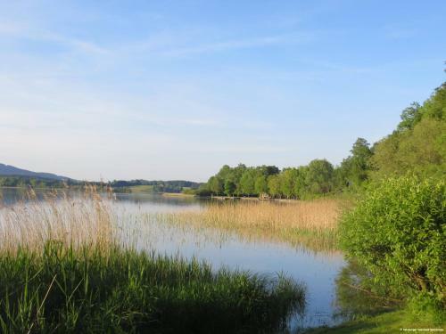 Pp-camping Wallersee