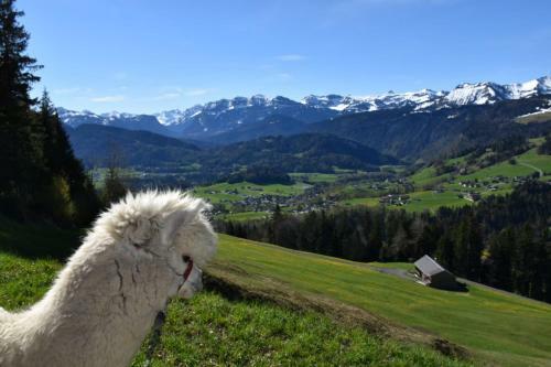Agroturismo Ferienhaus Brittenberg