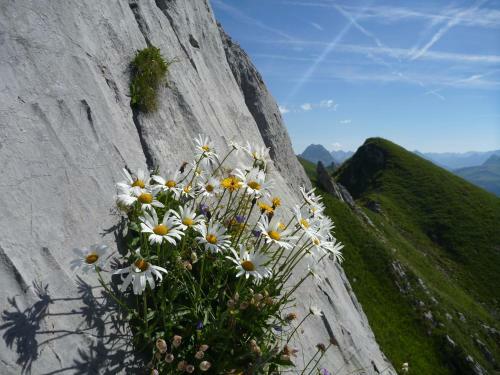Apartamento Urlaub Bei Moses