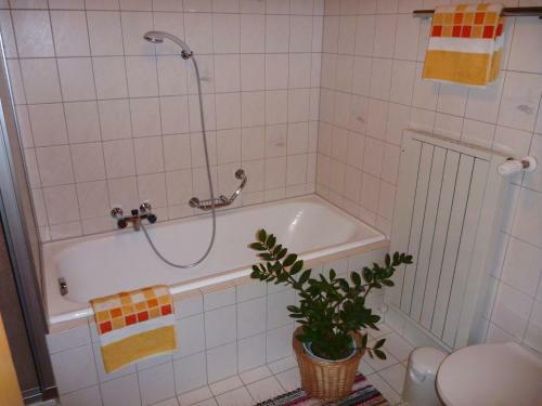 Apartamento Urlaub Bei Moses