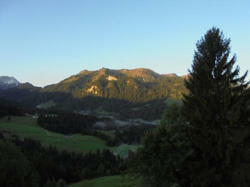 Apartamento Ferienhaus Nussbaumer