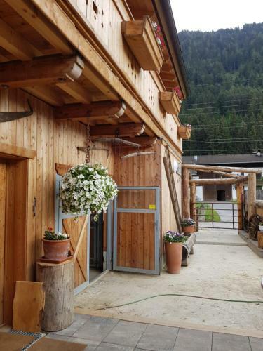 Bed & Breakfast Margit's Ranch Urlaub Am Pferdehof