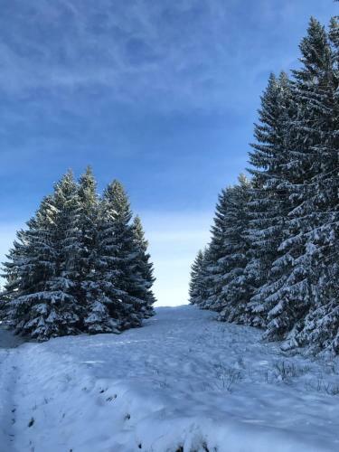 Apartamento Kleine Ferienwohnung Am Rande Der Wildnis