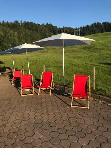 Apartamento Kleine Ferienwohnung Am Rande Der Wildnis