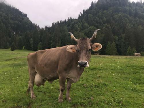 Apartamento Kleine Ferienwohnung Am Rande Der Wildnis