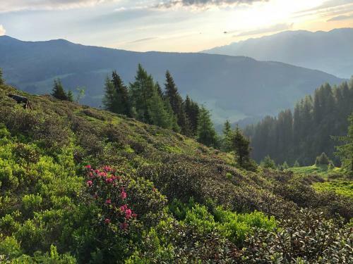 Hotel Schneekarh�tte Im Sommer