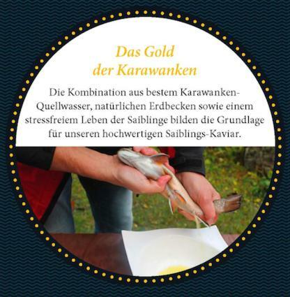Ferienhaus Klopeinersee K�rnten