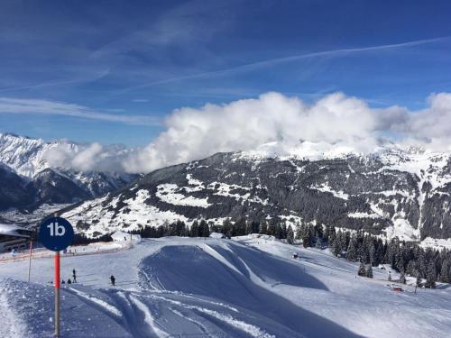 Apartamento Alpenliebe Montafon