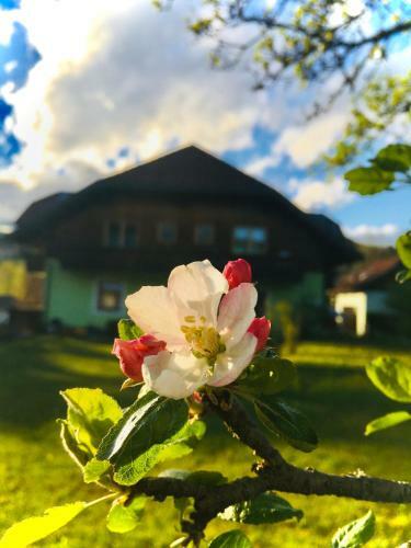 Apartamento Haus Seerose