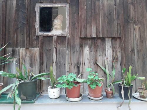 Hostal Haus Zum Prater