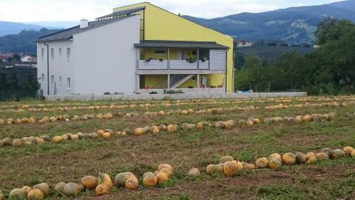 Apartamento Ferienwohnung Schlossblick