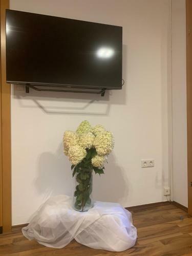 Apartamento Schilcherland-apartment