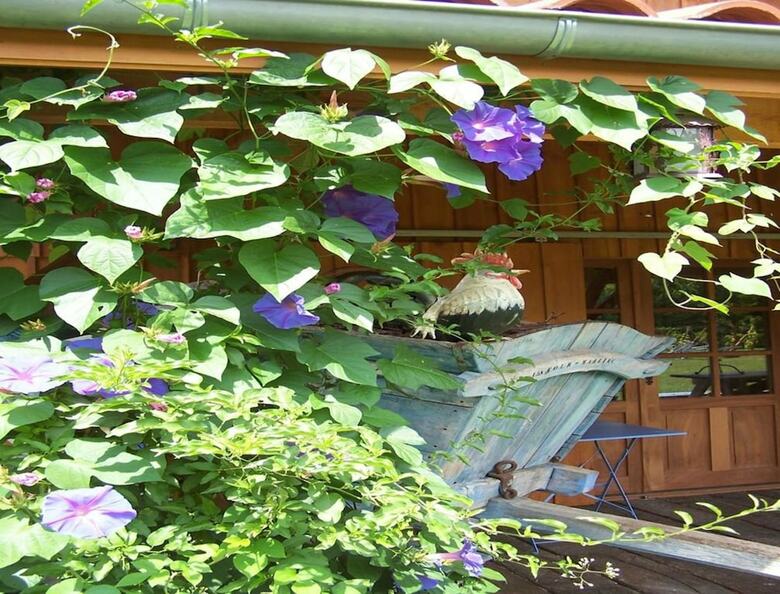 Hostal La Roulotte De La Vall�e Du Lot