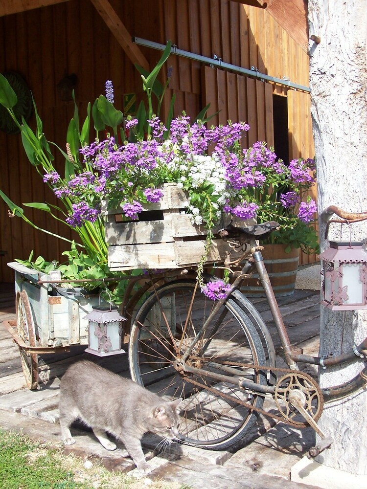 Hostal La Roulotte De La Vall�e Du Lot