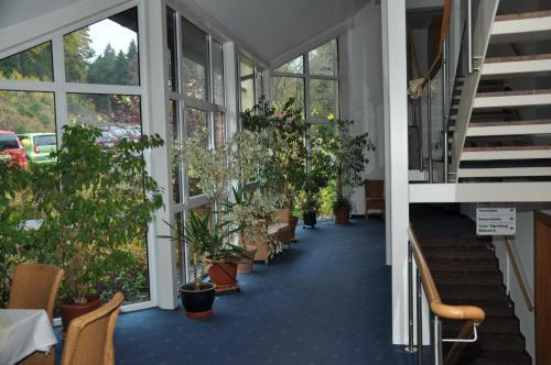 Hotel Am Wald - Garni -
