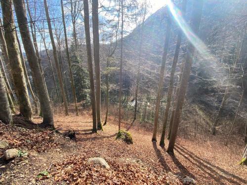 Apartamento Ferienwohnungen Uriwang - Urlaub Im Gr�nen