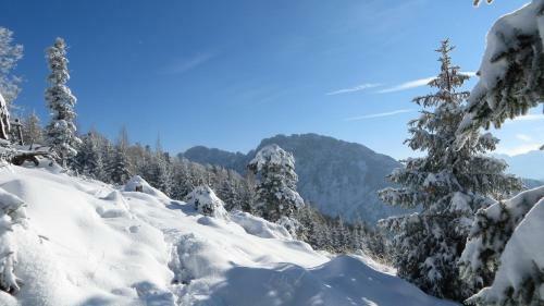 Apartamento Ferienwohnungen Uriwang - Urlaub Im Gr�nen