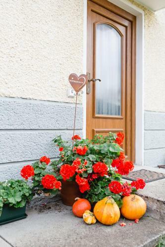 Apartamento Wohnung Am See