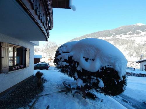 Apartamento G�stehaus Summer