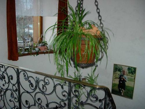 Apartamento G�stehaus Summer