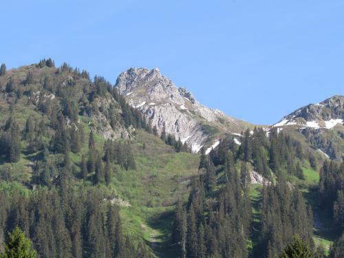 Gauertalhaus - Vollspora