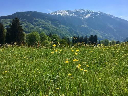 Apartamento Ferienwohnung Bitschnau