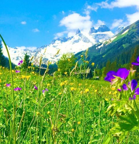 Apartamento Ferienwohnung Bitschnau