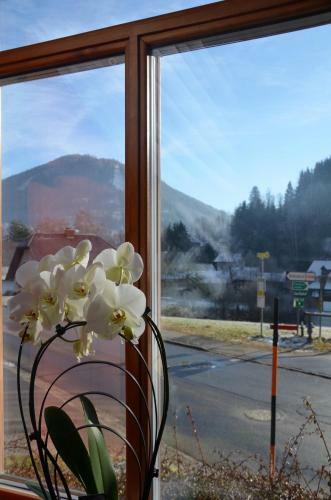 Apartamento Haus Elena Am Semmering