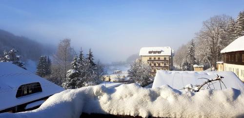 Apartamento Haus Elena Am Semmering