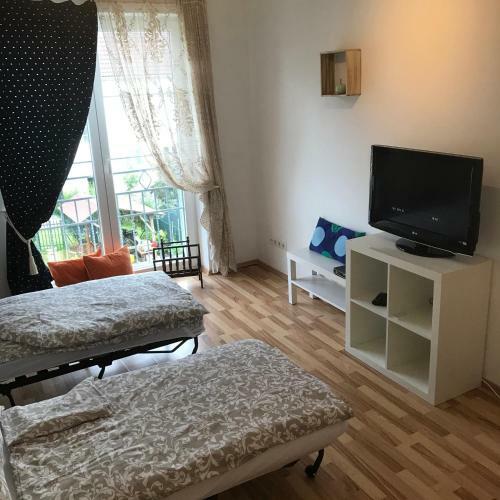 Lg Living Apartment