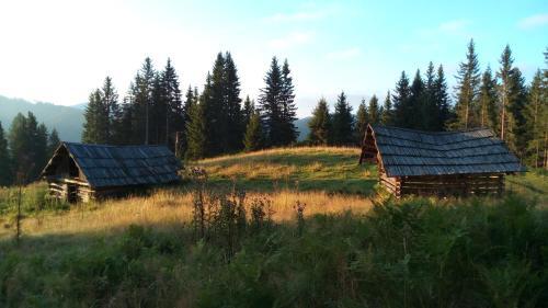 Apartamento Ferienwohnungen Strasser