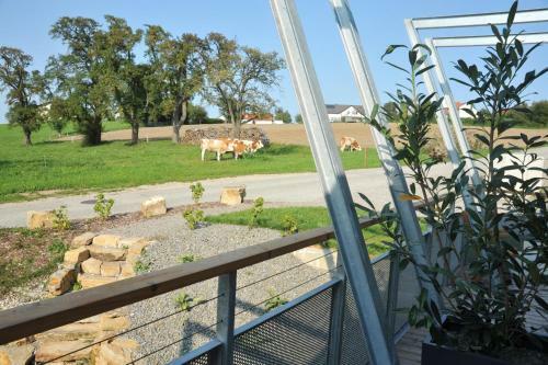 Apartamento Aiglberger Hofapartments